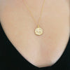 Chinese Zodiac Coin Necklace - Pig