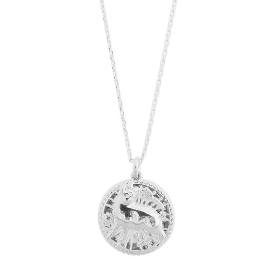 Chinese Zodiac Coin Necklace - Pig